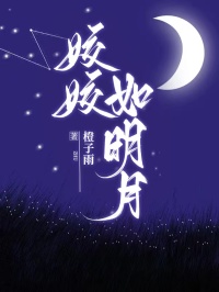 姣姣如明月