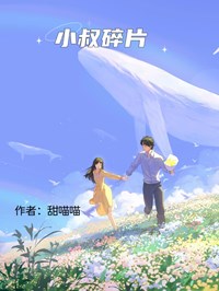 小叔碎片