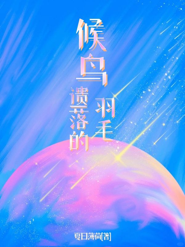 候鸟遗落的羽毛
