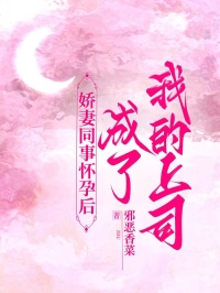 娇妻同事怀孕后成了我的上司