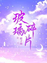 玻璃碎片