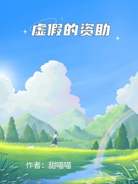 虚假的资助