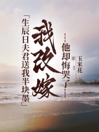 生辰日夫君送我半塊墨，我改嫁他卻悔哭了