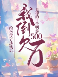 給岳母2萬塊錢后，我倒欠500萬