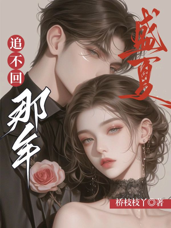 追不回那年盛夏