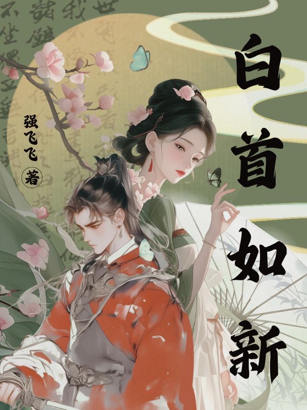 白首如新
