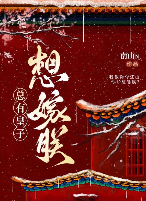 總有皇子想嫁朕