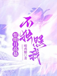 恨明月高懸不獨(dú)照我