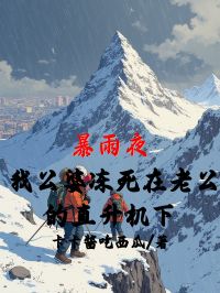 暴雨夜,我公婆冻死在老公的直升机下