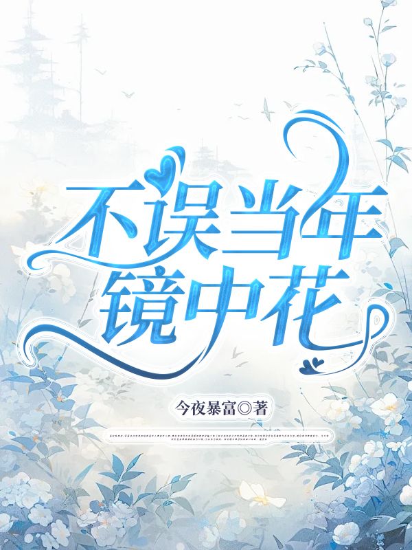 不误当年镜中花