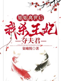 姐姐离世后 ，我杀王妃夺夫君