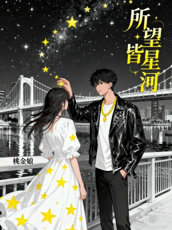 所望皆星河