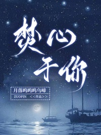 焚心于你