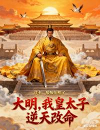 大明，我皇太子，逆天改命
