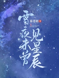 雪夜未曾見(jiàn)星辰