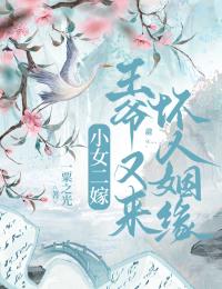 小女二嫁，王爺又來壞人姻緣