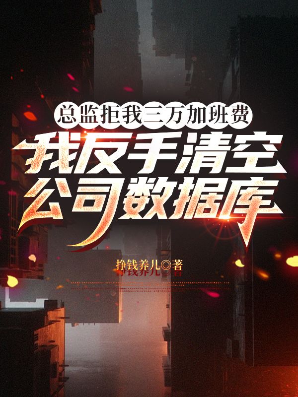 總監(jiān)拒我三萬加班費，我反手清空公司數(shù)據(jù)庫