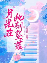 月光在此刻墜落