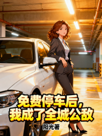 免費(fèi)停車后，我成了全城公敵