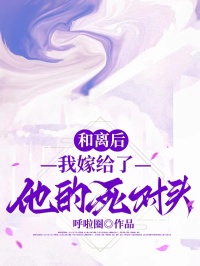 和离后,我嫁给了他的死对头