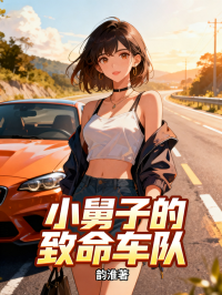 小舅子的致命车队