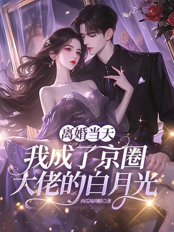 离婚当天,我成了京圈大佬的白月光