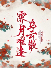 霽月難逢烏云散