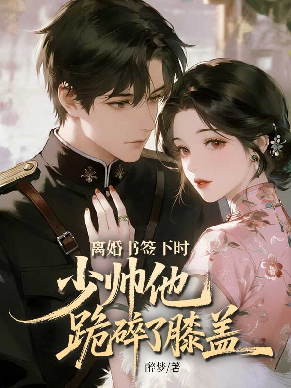 离婚书签下时，少帅他跪碎了膝盖