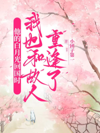 他的白月光回國時，我也和故人重逢了
