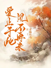 爱止于此，风不再来