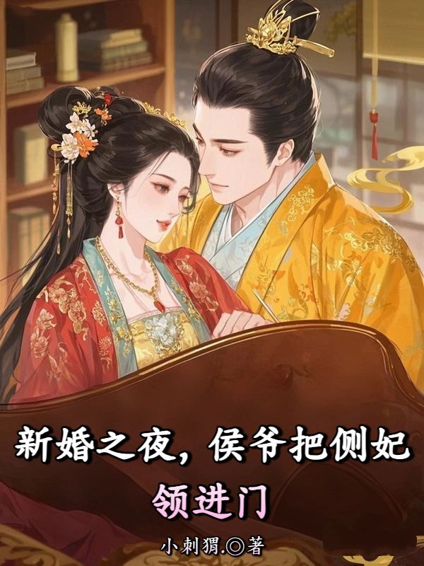 新婚之夜，侯爺把側(cè)妃領(lǐng)進(jìn)門