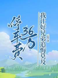 停车费36万，我让好兄弟追悔莫及