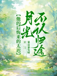 他的后悔来的太迟，月光不认归途