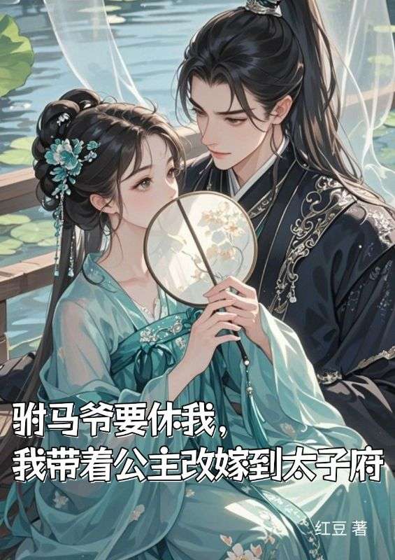 驸马爷要休我，我带着公主改嫁到太子府