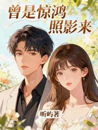 曾是惊鸿照影来