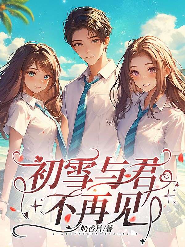 初雪与君不再见