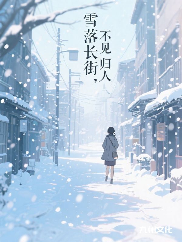 雪落长街,不见归人