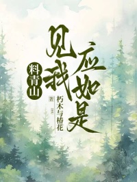 料青山见我应如是