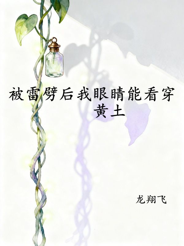 被雷劈后我眼睛能看穿黄土