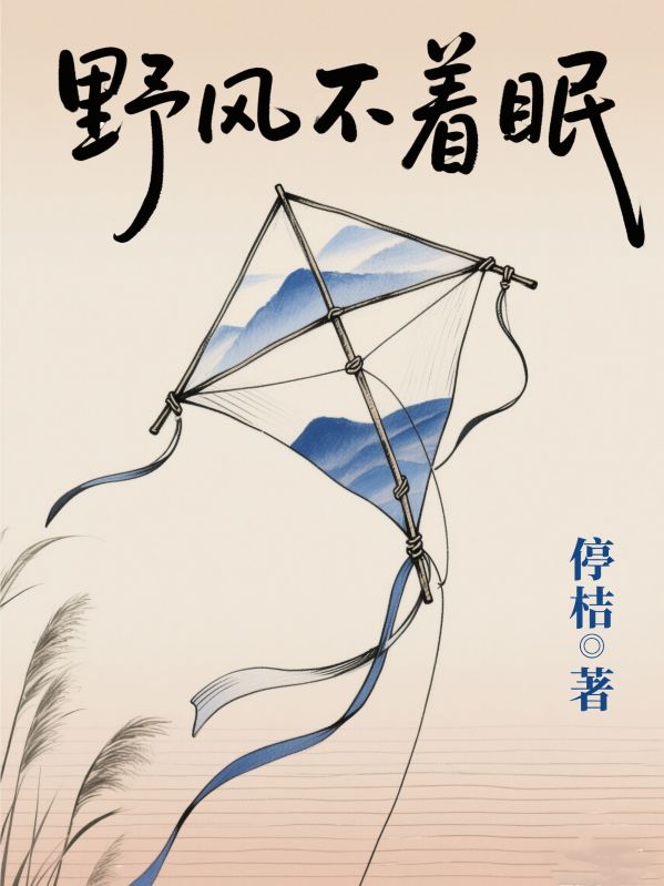 野风不着眠