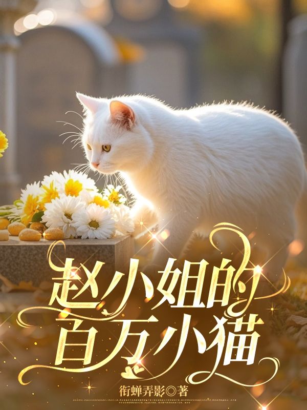 赵小姐的百万小猫