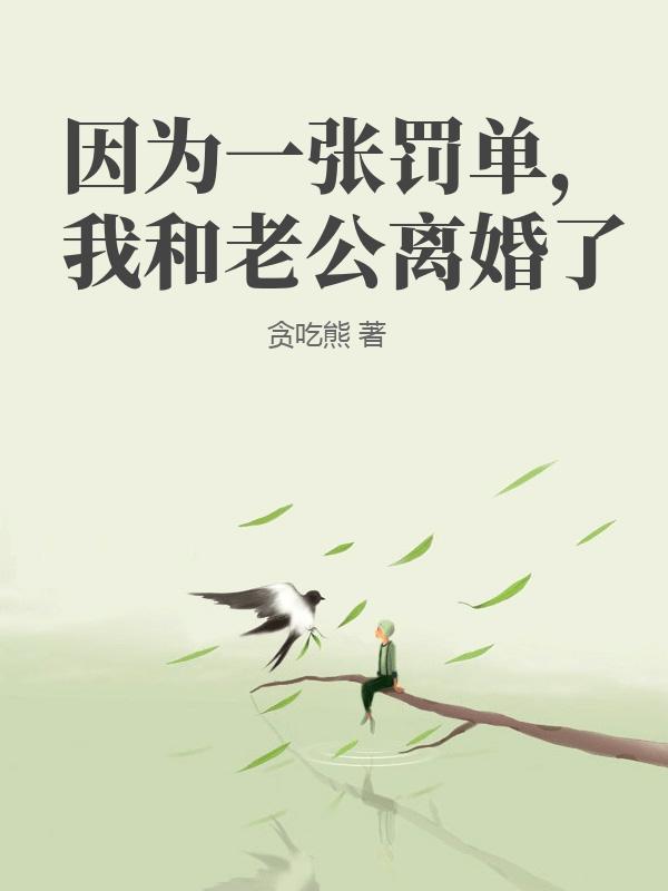 因为一张罚单，我和老公离婚了