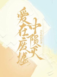 爱在废墟中陨灭