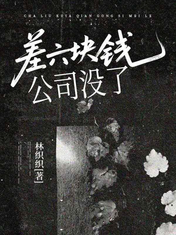 差六块钱，公司没了