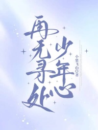 再无寻处少年心