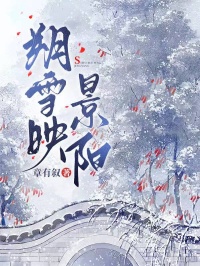 朔雪映景阳