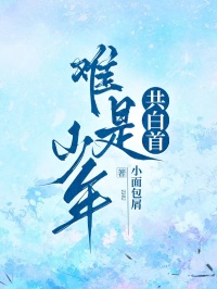 《难是少年共白首》