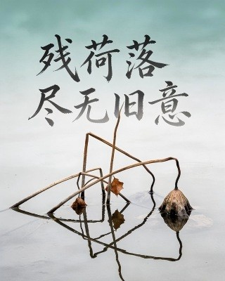 残荷落尽无旧意