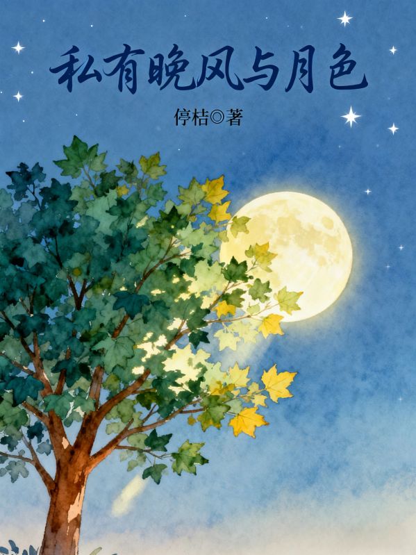 私有晚风与月色