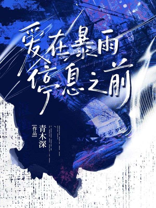爱在暴雨停息之前